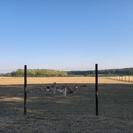 Lemen Huis Houwaart Tielt Exteriör bild