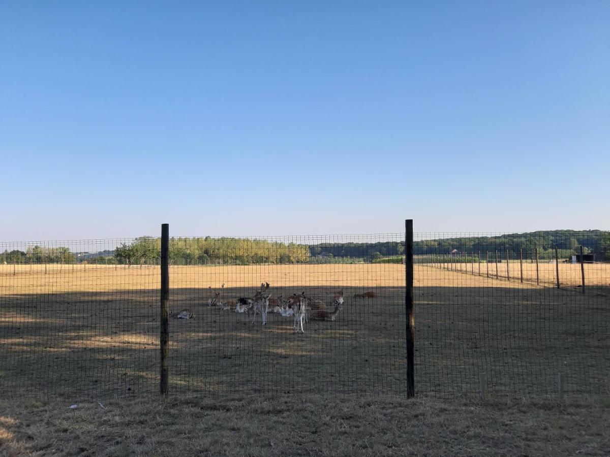 Lemen Huis Houwaart Tielt Exteriör bild