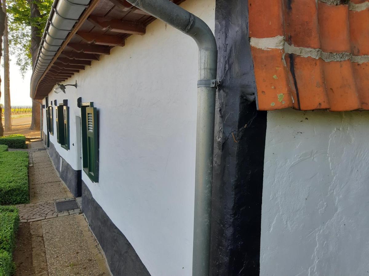 Lemen Huis Houwaart Tielt Exteriör bild